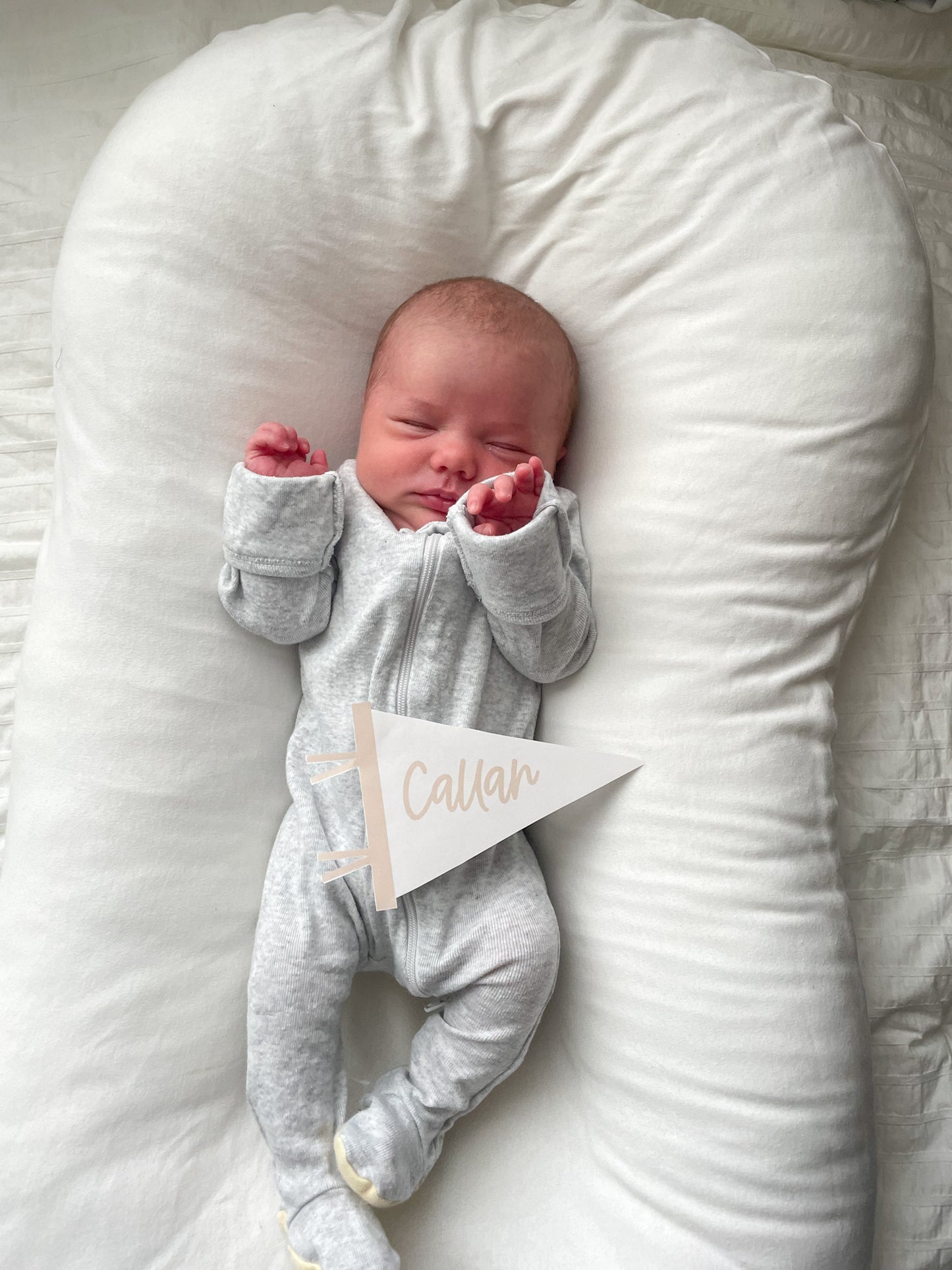 Birth Announcement Mini Flag Pennant Printable