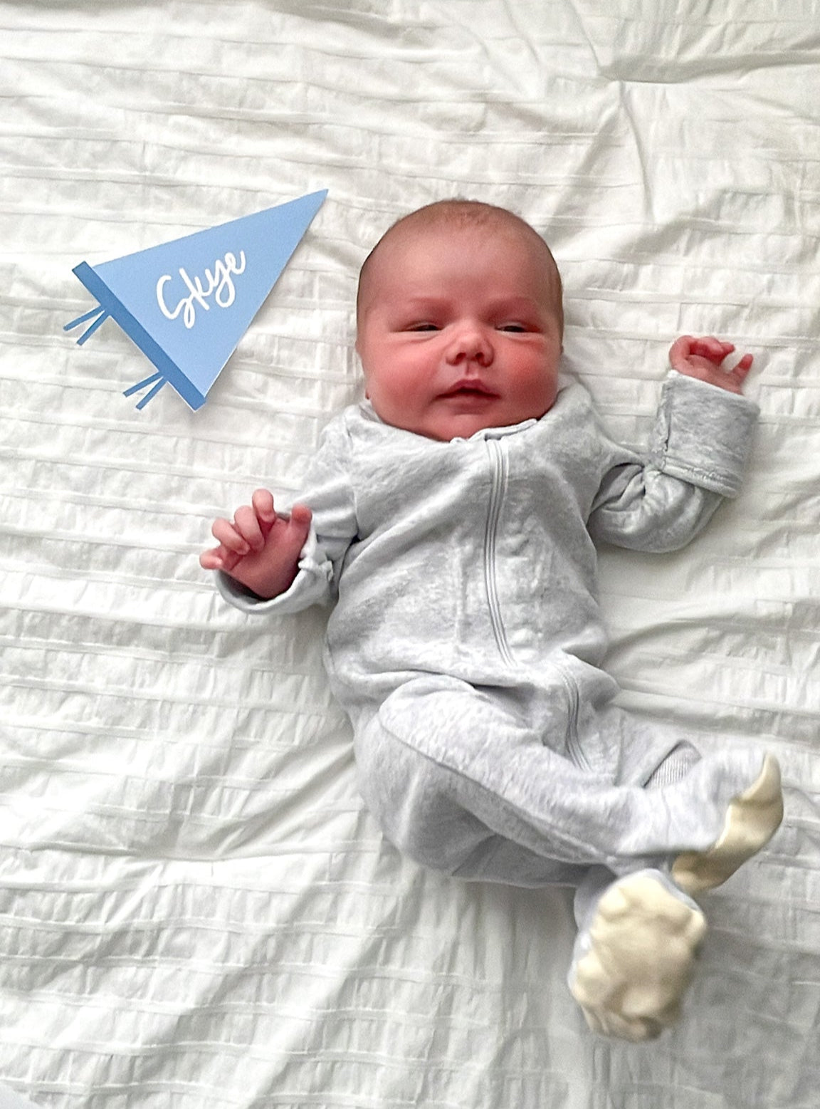 Birth Announcement Mini Flag Pennant Printable