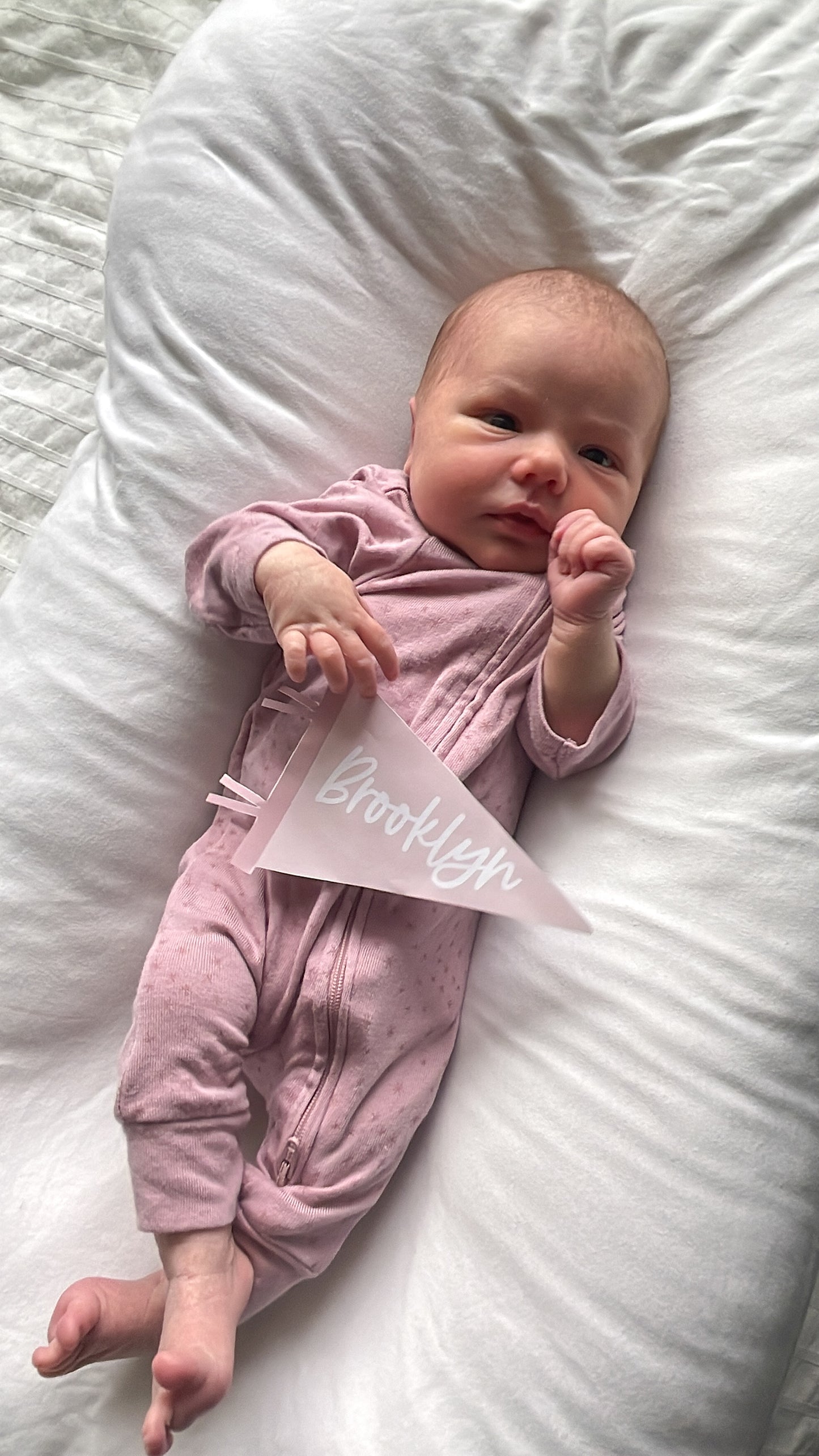 Birth Announcement Mini Flag Pennant Printable