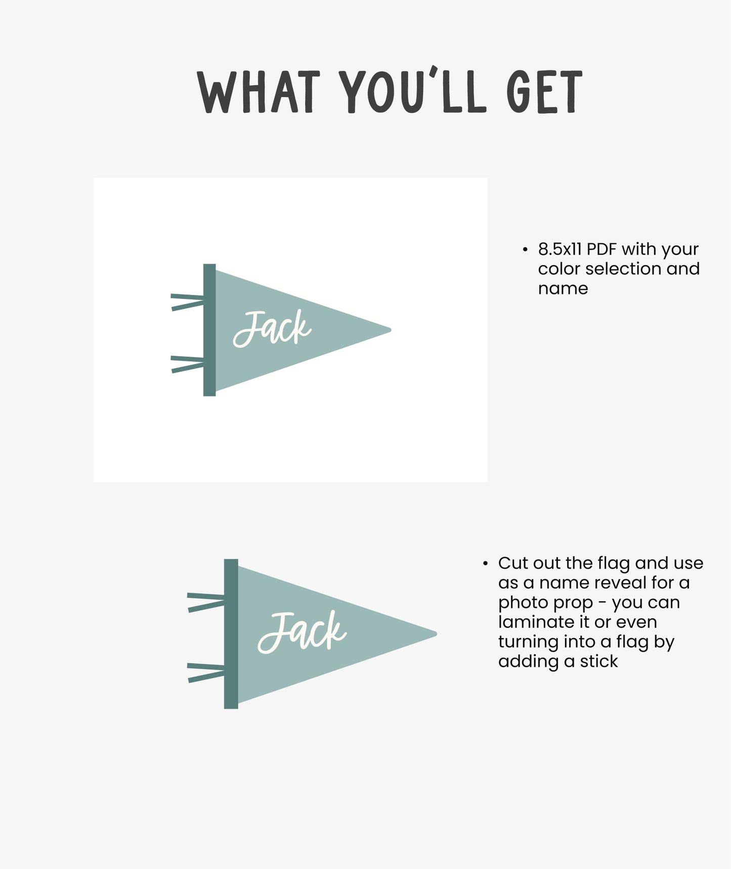 Birth Announcement Mini Flag Pennant Printable