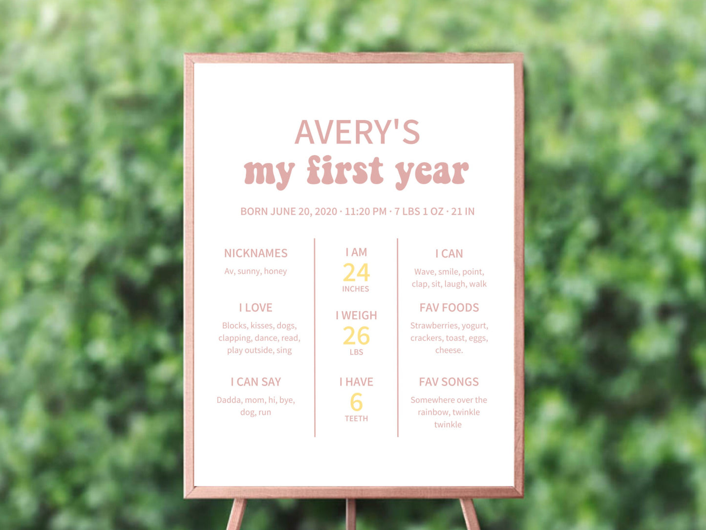 One Happy Gal birthday bundle