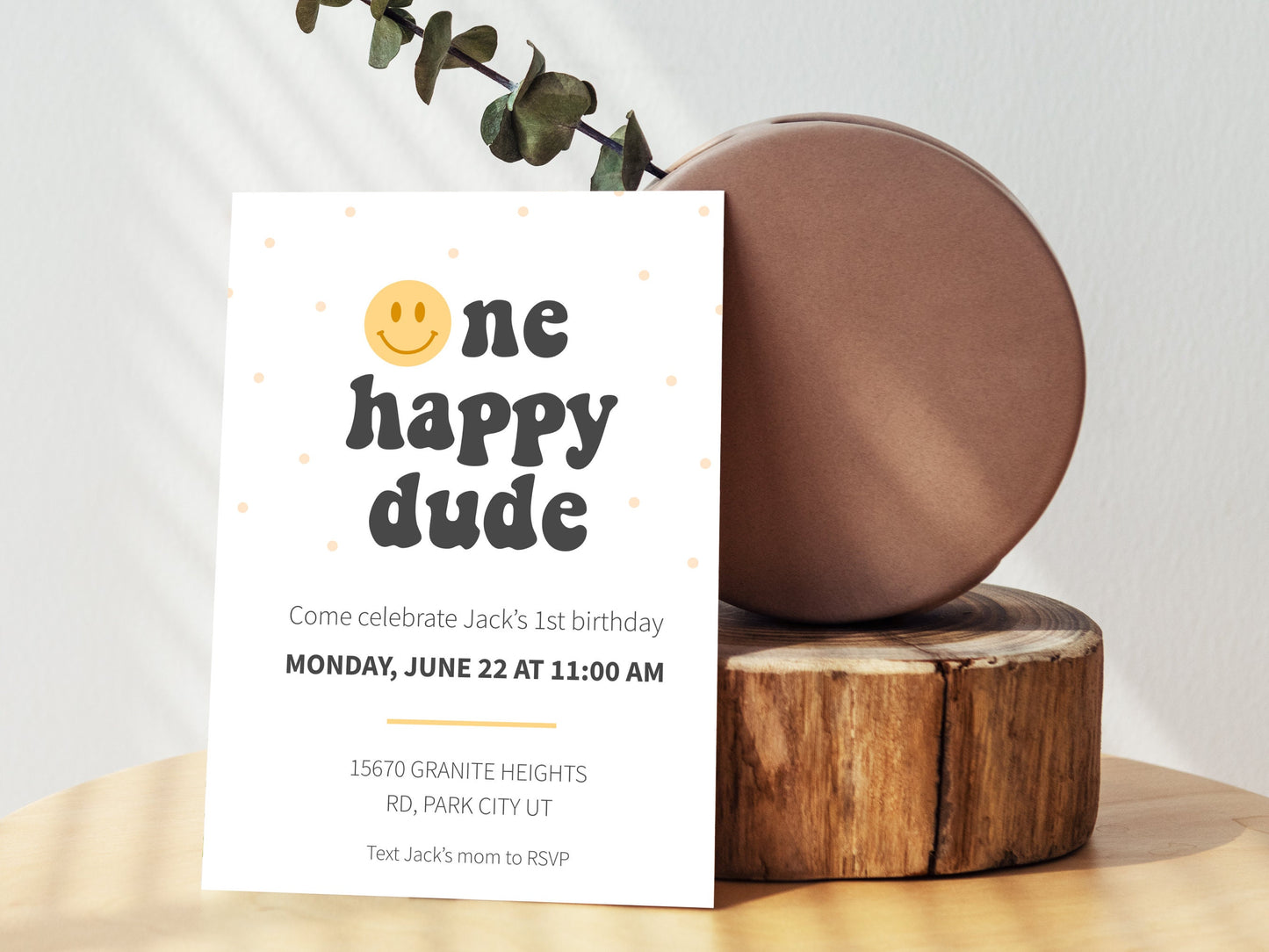 One Happy Dude birthday bundle