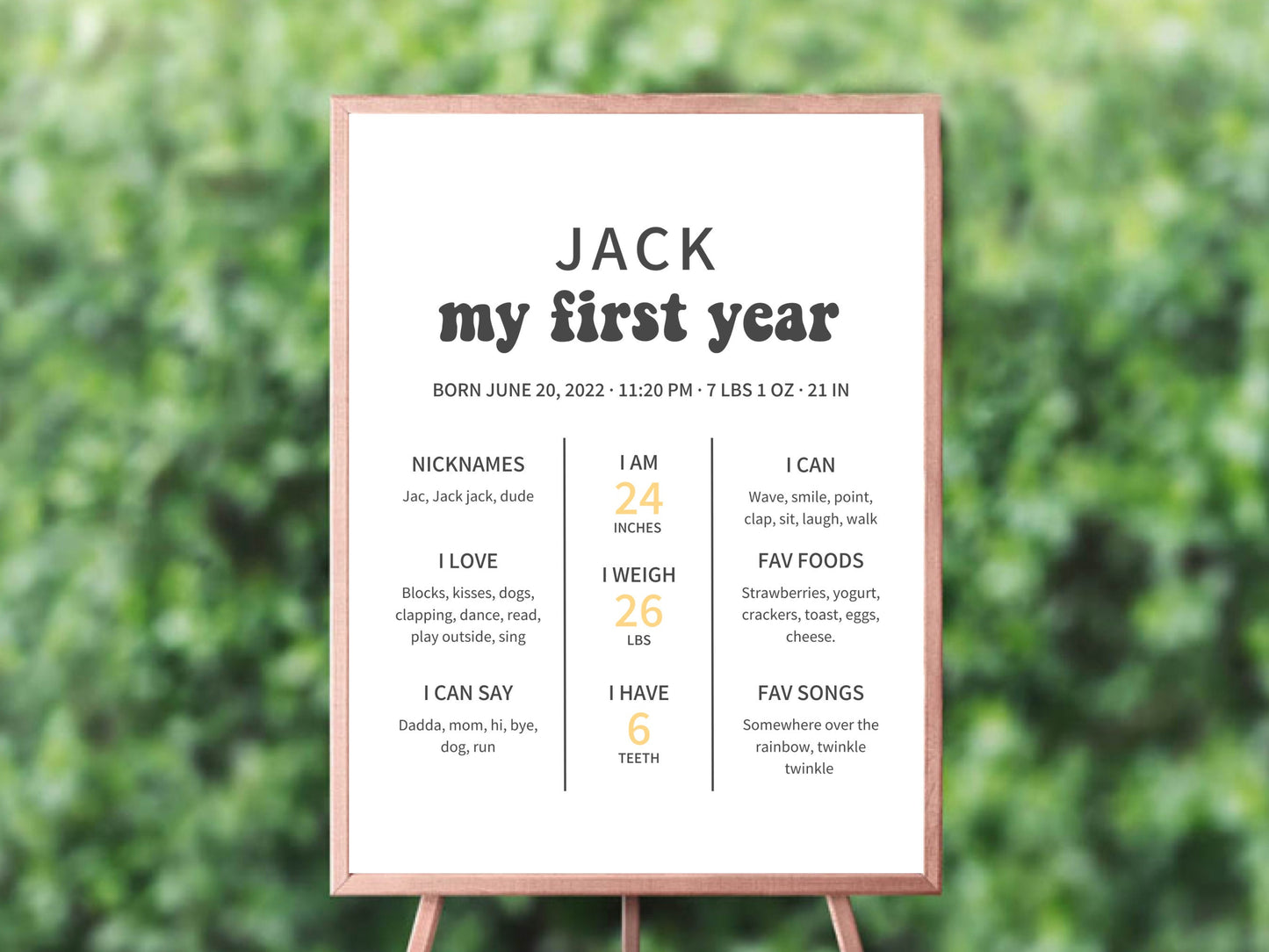 One Happy Dude birthday bundle