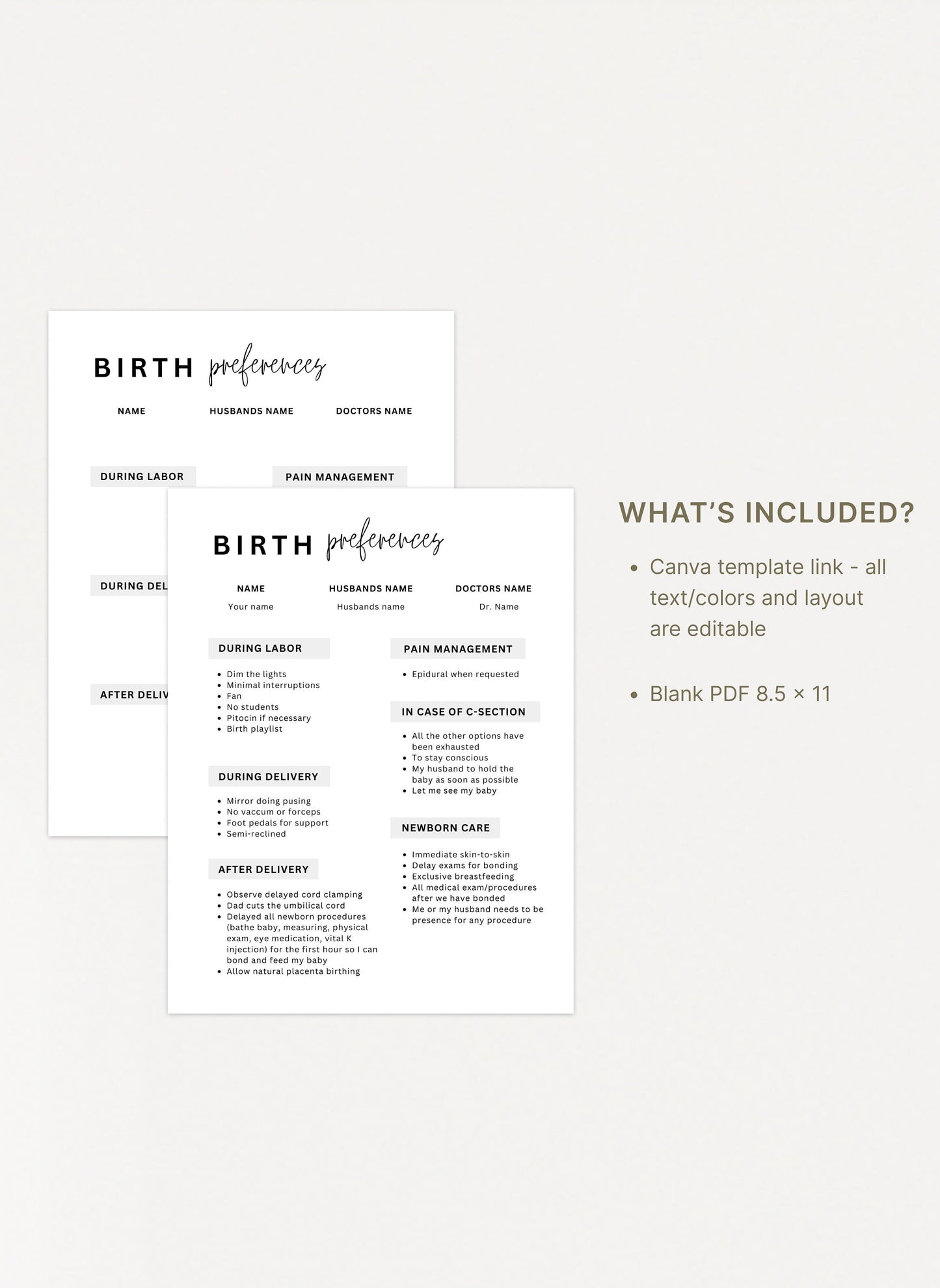 Printable Birth Plan Template