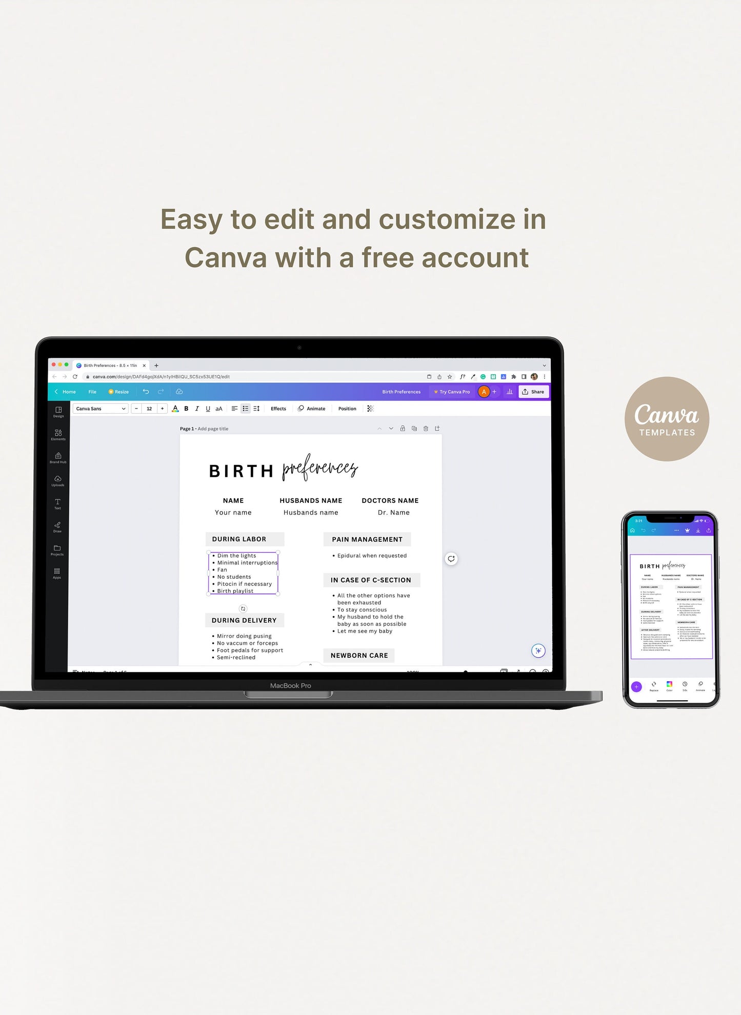 Printable Birth Plan Template