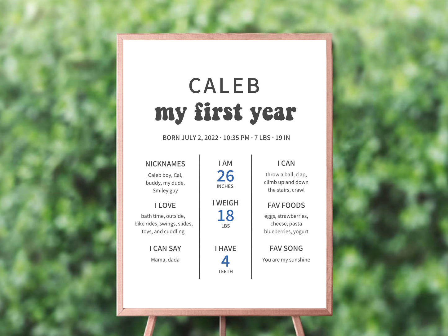 One Happy Dude blue birthday printable bundle